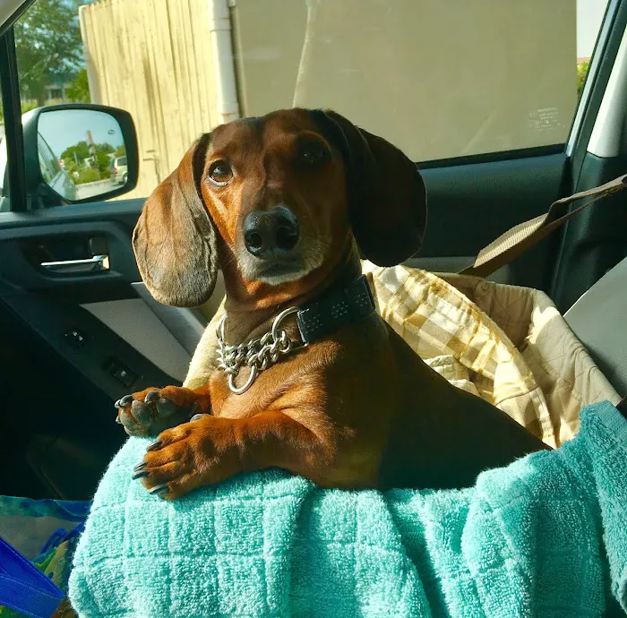 West Coast Veterinary Center 12