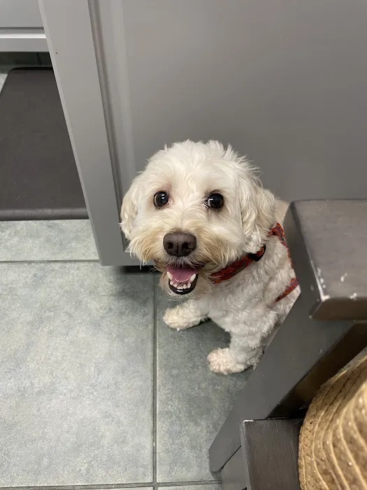 Sarasota Animal Hospital 6