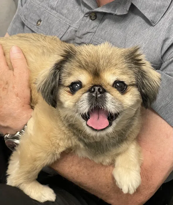 Sarasota Animal Hospital 4