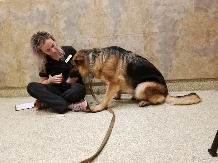 Dr. Nina's Animal Hospital Sarasota 12