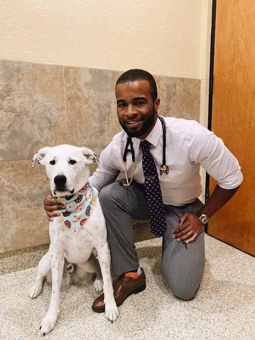 Dr. Nina's Animal Hospital Sarasota 12