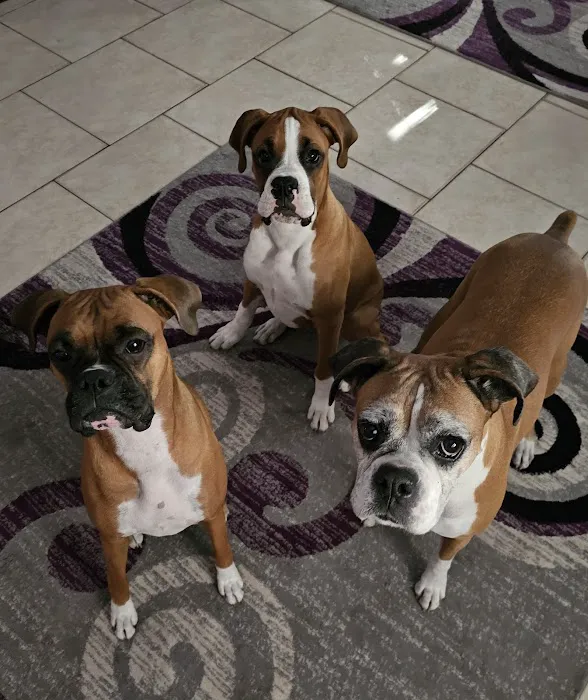 Dr. Nina's Animal Hospital Sarasota 12