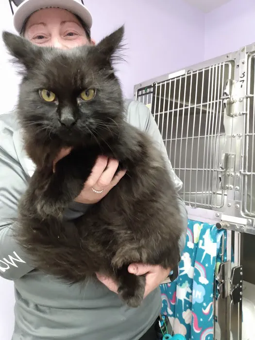 Humane Society of Manatee County 12