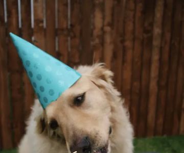 Humane Society of Manatee County