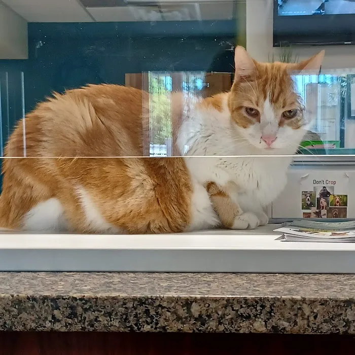 Humane Society of Manatee County 12