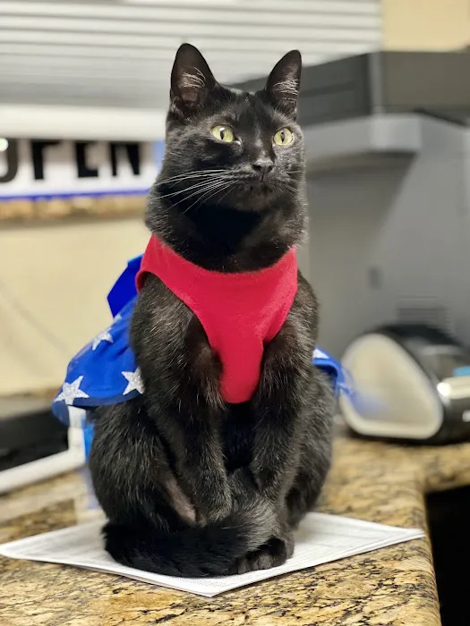 Animal Emergency of Pasco 12