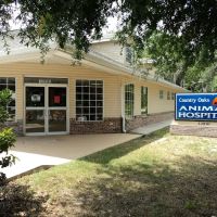 Country Oaks Animal Hospital ico