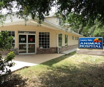 Country Oaks Animal Hospital