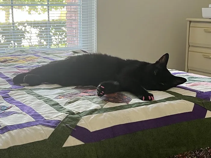 Advanced Pet Care 1