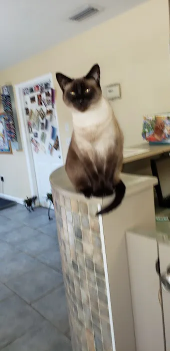 Companion Animal Hospital 12
