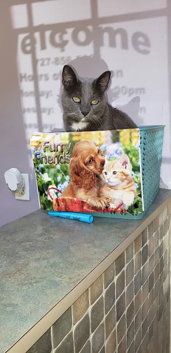 Companion Animal Hospital 12