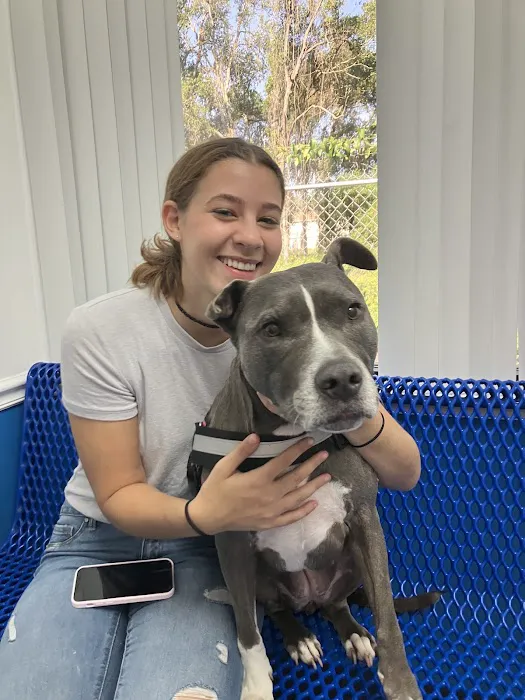 County Line Animal Hospital 12