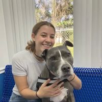 County Line Animal Hospital ico