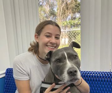 County Line Animal Hospital