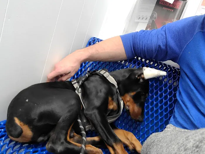 County Line Animal Hospital 12