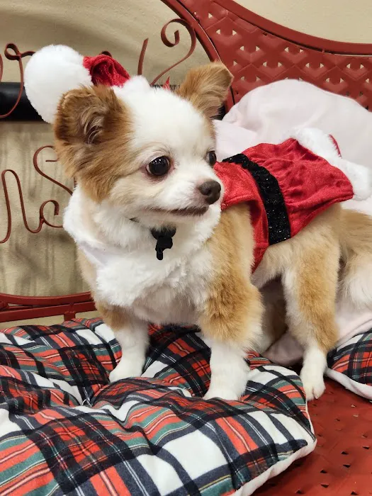 County Line Animal Hospital 12
