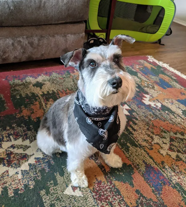 County Line Animal Hospital 12