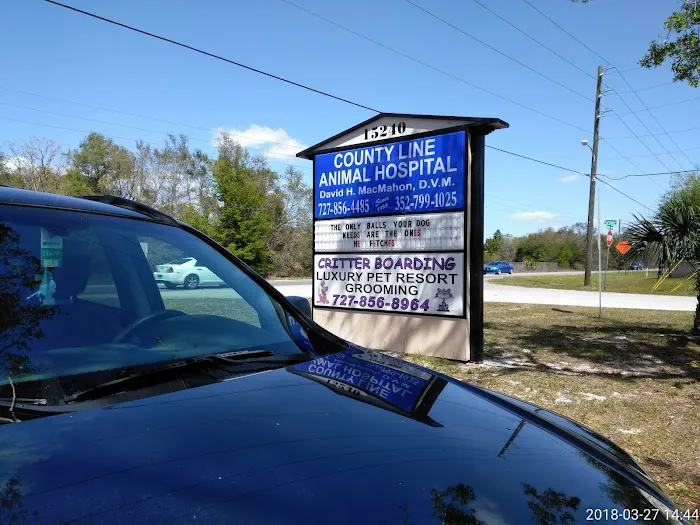 County Line Animal Hospital 12
