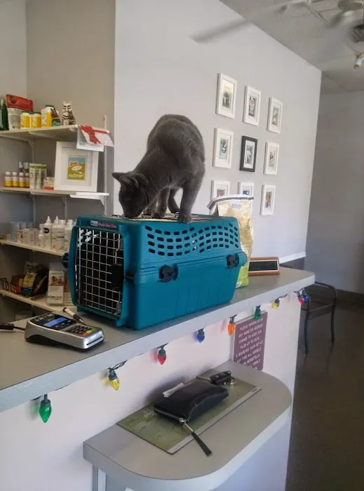 Palm Harbor Animal Hospital 12