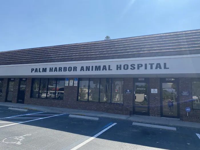 Palm Harbor Animal Hospital 12