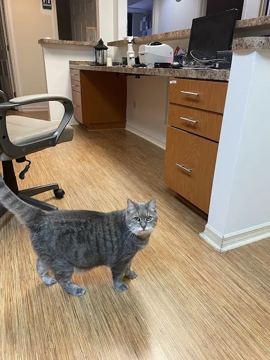 Palm Harbor Animal Hospital 12