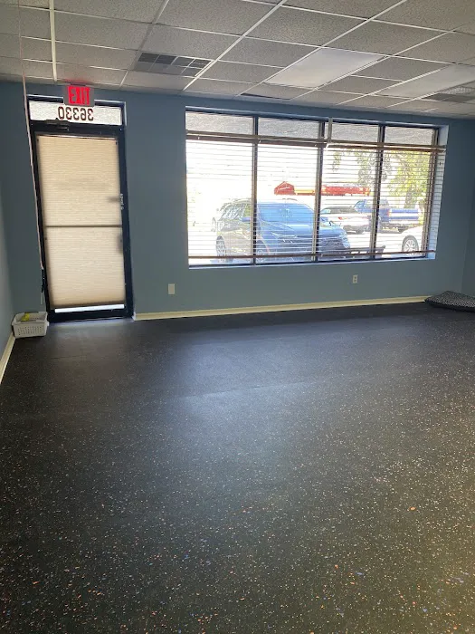 Palm Harbor Animal Hospital 12