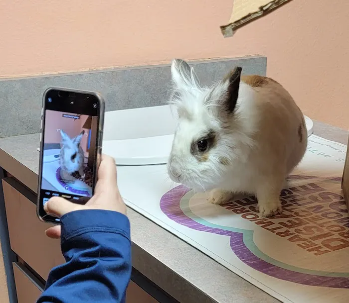 All Pets Hospital 2