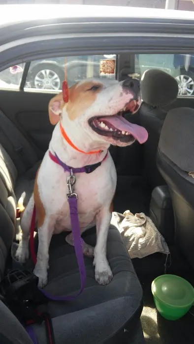 Banfield Pet Hospital 12