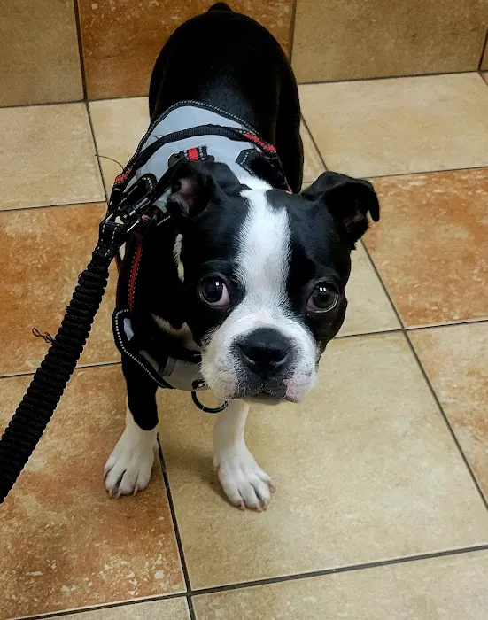 Banfield Pet Hospital 12