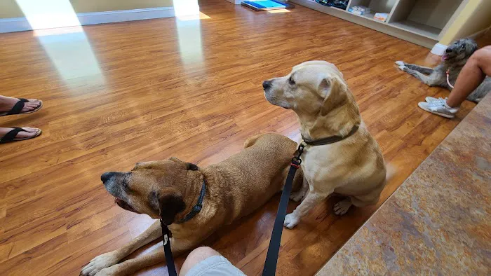 Tarpon Animal Hospital 12