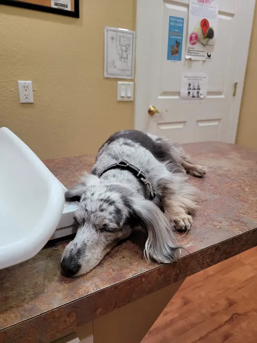 Tarpon Animal Hospital 12
