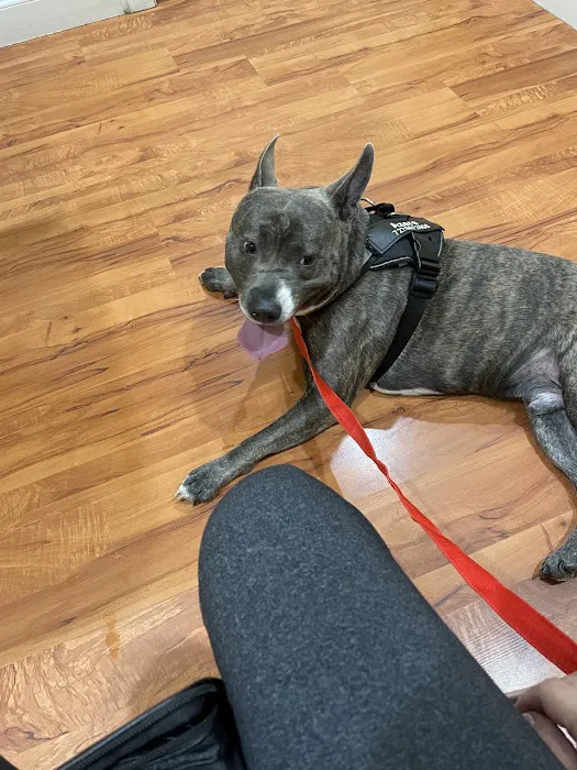 Tarpon Animal Hospital 12