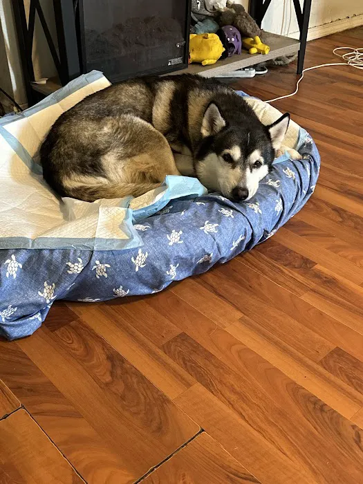Pasco Animal Hospital 12