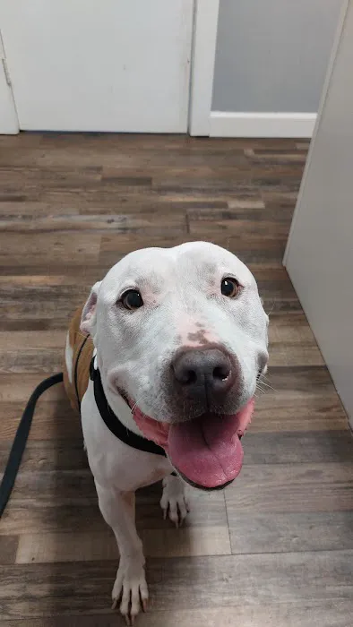 Pasco Animal Hospital 12