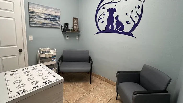 VCA Little Animal Hospital 12