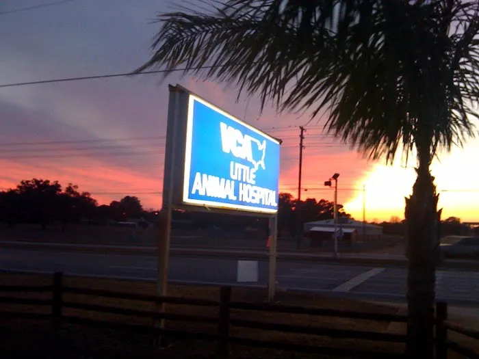 VCA Little Animal Hospital 12
