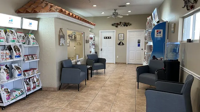 VCA Little Animal Hospital 12