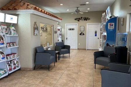 VCA Little Animal Hospital
