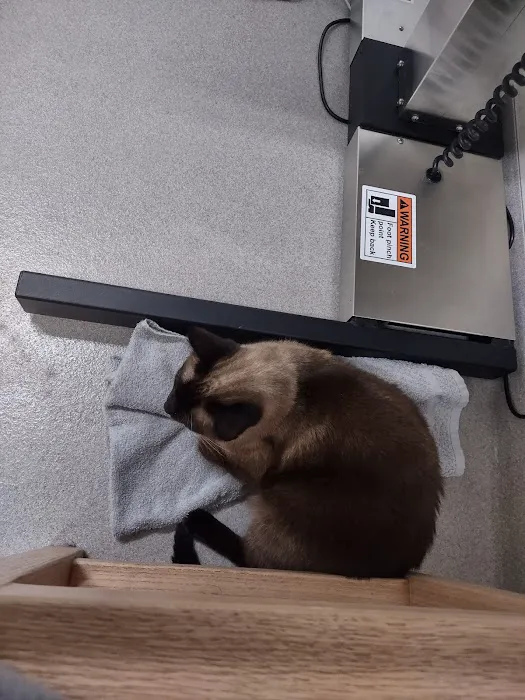 Animal Emergency of Hernando Inc. URGENT CARE. 5