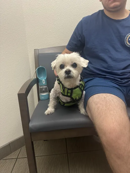 VCA San Francis Animal Hospital 6