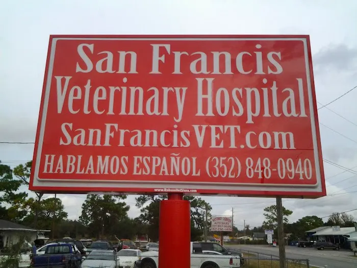 VCA San Francis Animal Hospital 1