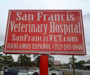 VCA San Francis Animal Hospital