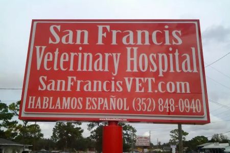 VCA San Francis Animal Hospital