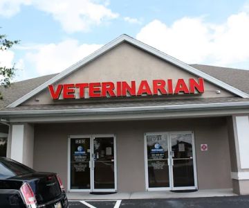 Kind Animal Care