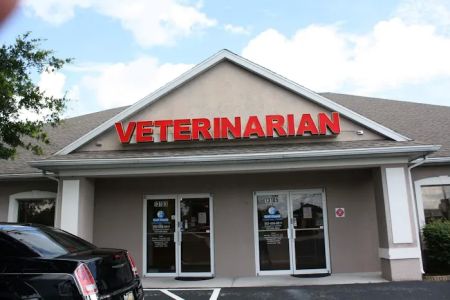 Kind Animal Care