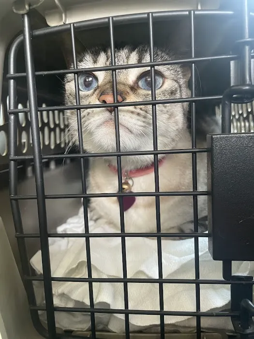 Hernando Animal Hospital 5