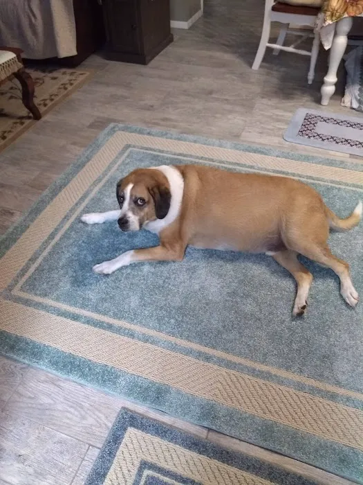 Hernando Animal Hospital 1