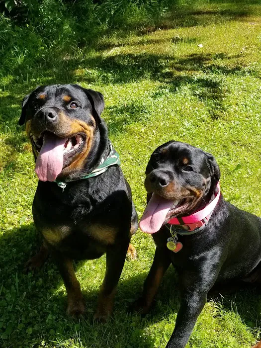 Hernando Animal Hospital 6