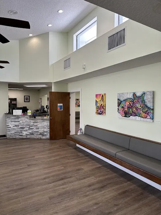 VCA Bayonet Point Animal Hospital 5