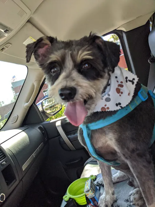 VCA Bayonet Point Animal Hospital 10